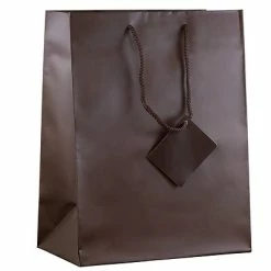 Best reviews of 🔔 Boxes & Bags JAM PAPER Matte Gift Bags With Rope Handles, Large, 10 X 13 X 5, Chocolate Brown, Bulk 100 Bags/Pack (673MACHB100) 🧨